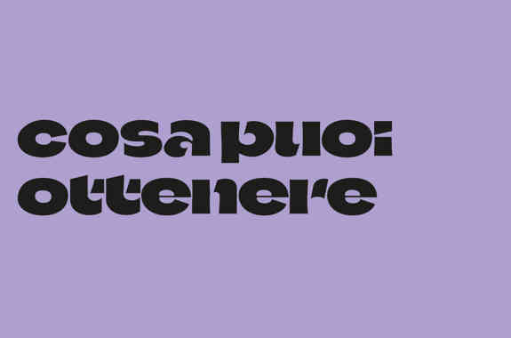 800X470 Viola2