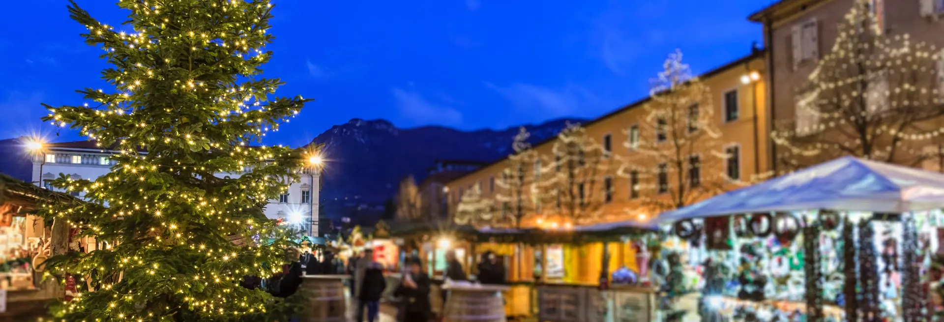 Trento No Scritte
