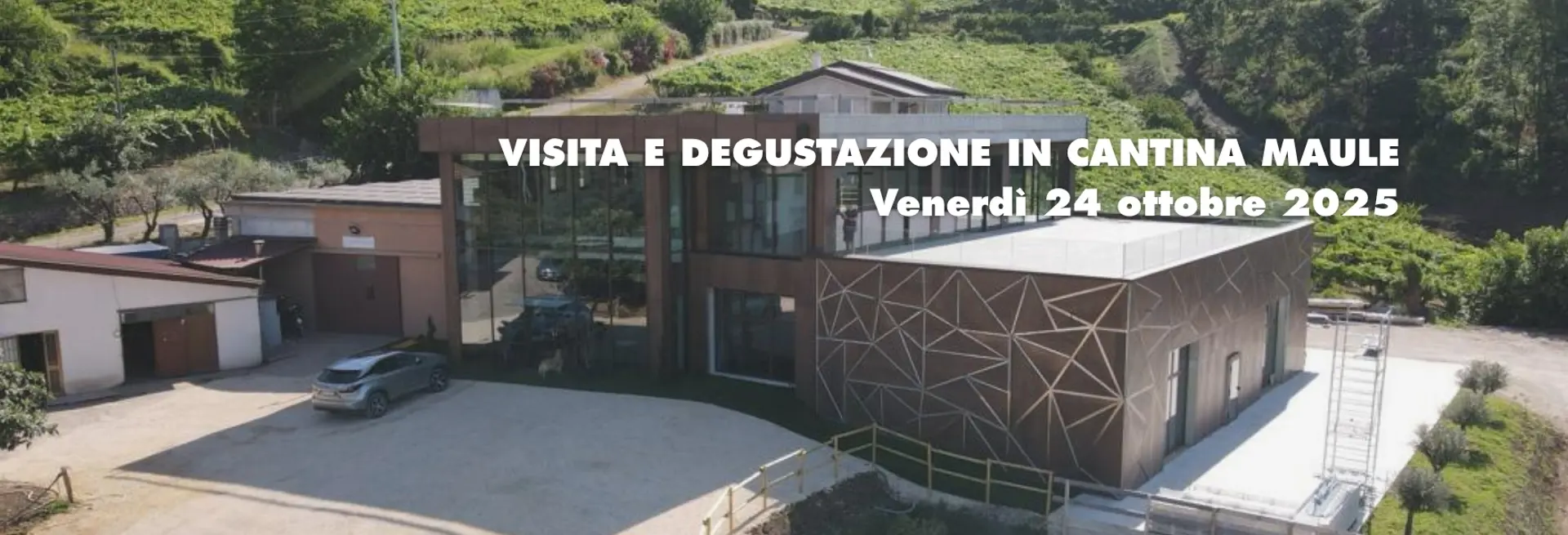 Tenuta Maule Visual