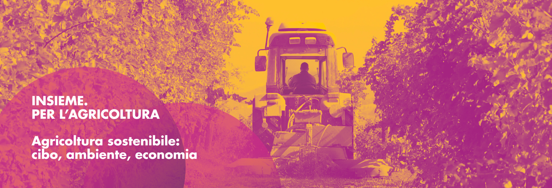 Agribusiness 1760 X 600 Px