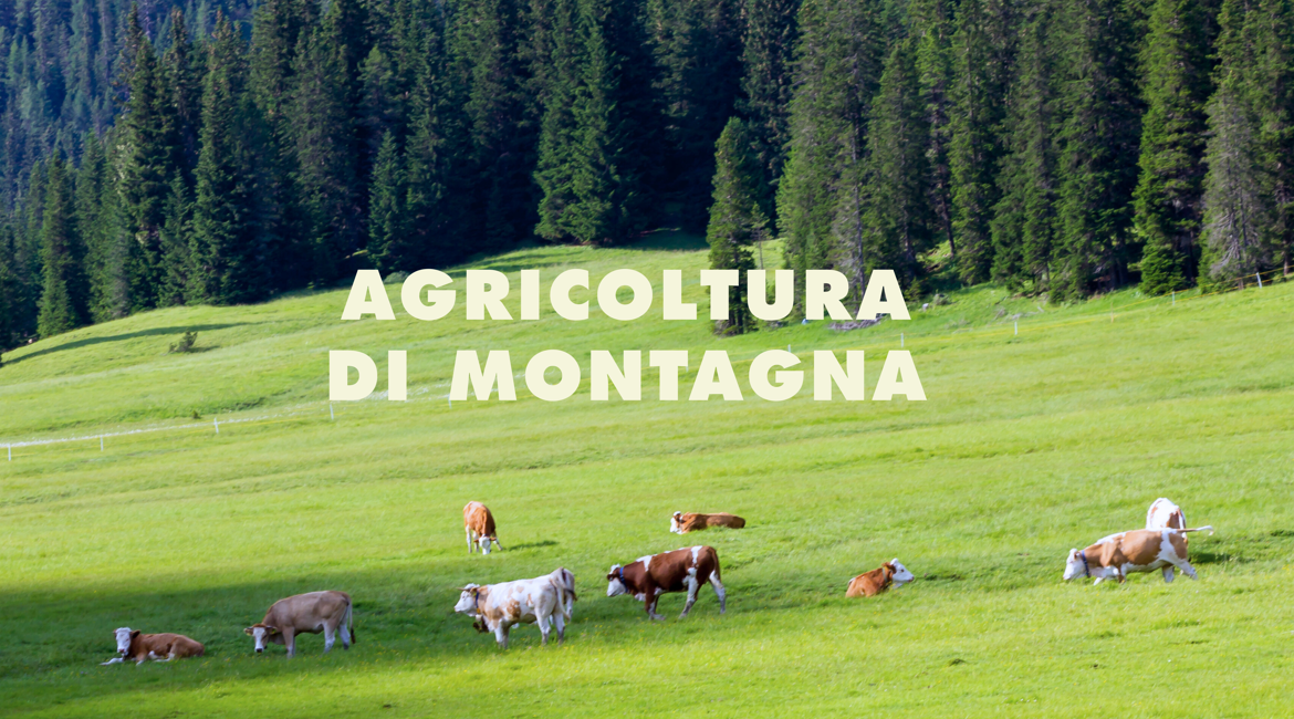 5 SETTEMBRE 2025 (1)
