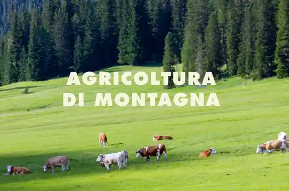 5 SETTEMBRE 2025 (1)