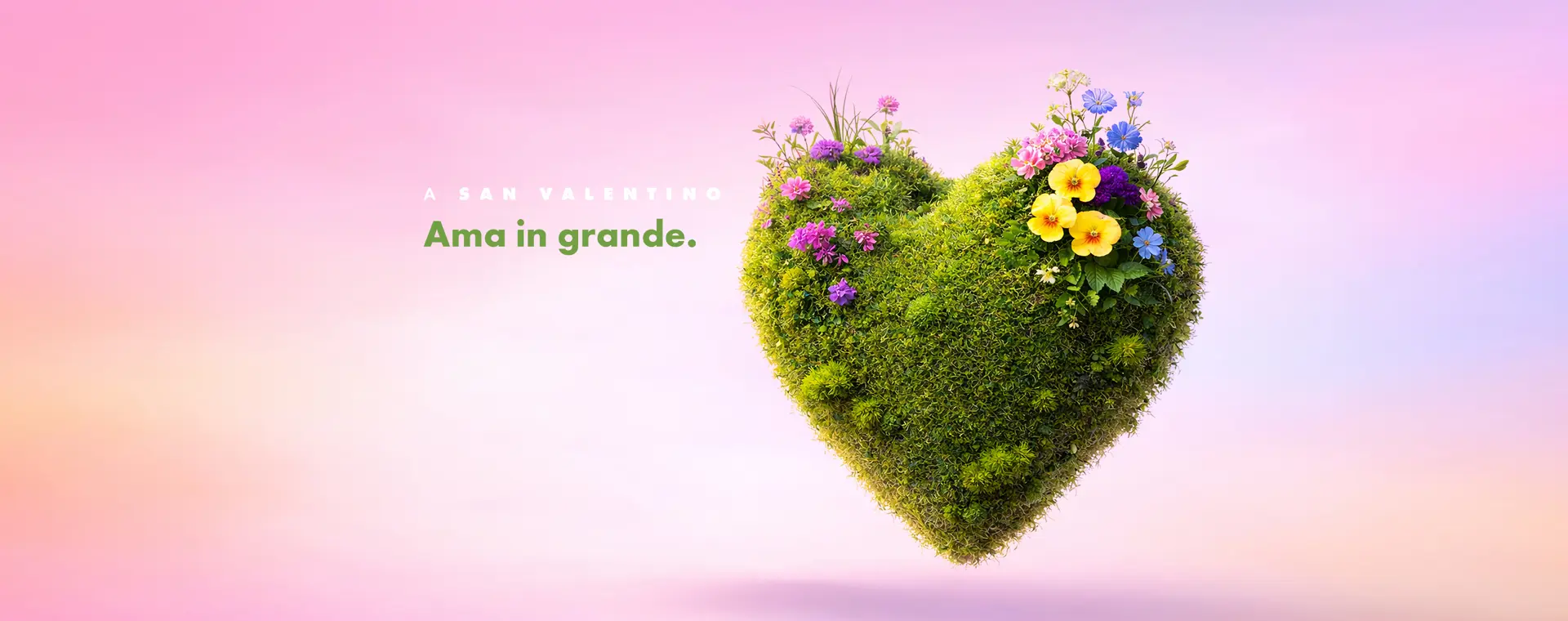 -50% sulle spese di istruttoria dal 09/02/2026 al 13/02/2026 