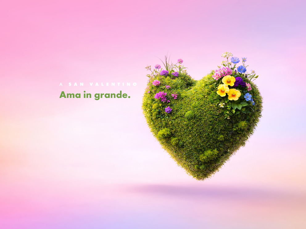 -50% sulle spese di istruttoria dal 09/02/2026 al 13/02/2026 